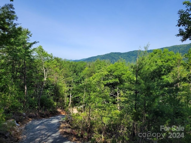 LOT12/13B Quail Dr, Marion NC, 28752 land for sale