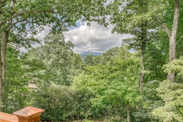 view of nature with a mountain view