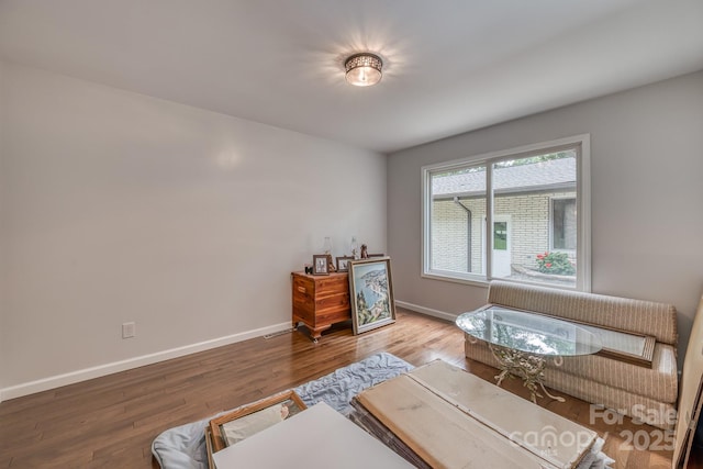 living area featuring hardwood / wood-style floors