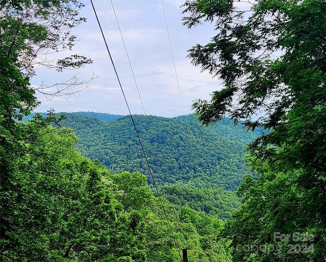 000 Brasstown Rd, Cullowhee NC, 28723 land for sale