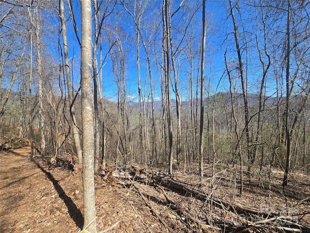 000 Brasstown Rd, Cullowhee, NC 28723 - photo 1