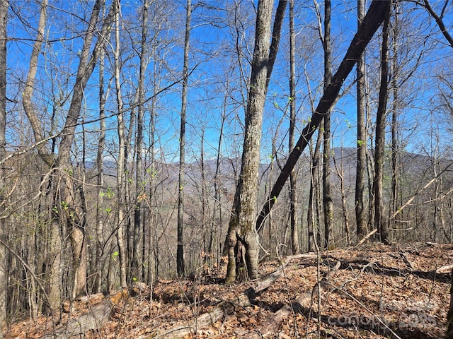000 Brasstown Rd, Cullowhee, NC 28723 - photo 2