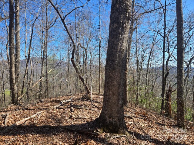 000 Brasstown Rd, Cullowhee, NC 28723 - photo 3