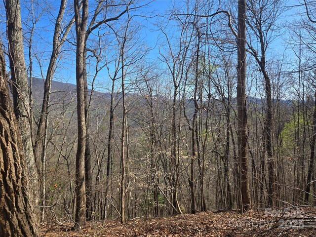 000 Brasstown Rd, Cullowhee, NC 28723 - photo 4