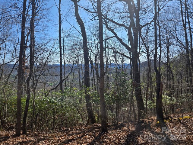 000 Brasstown Rd, Cullowhee, NC 28723 - photo 5