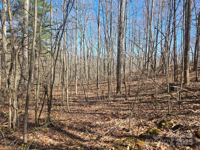 000 Brasstown Rd, Cullowhee, NC 28723 - photo 11