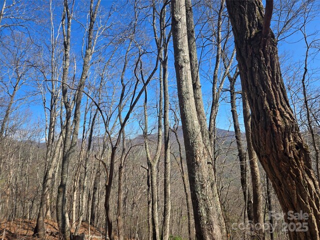 000 Brasstown Rd, Cullowhee, NC 28723 - photo 12