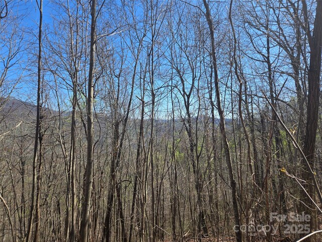 000 Brasstown Rd, Cullowhee, NC 28723 - photo 13
