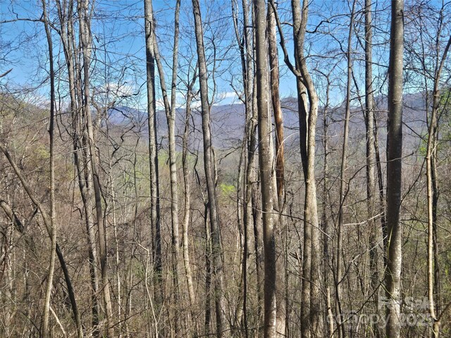 000 Brasstown Rd, Cullowhee, NC 28723 - photo 14