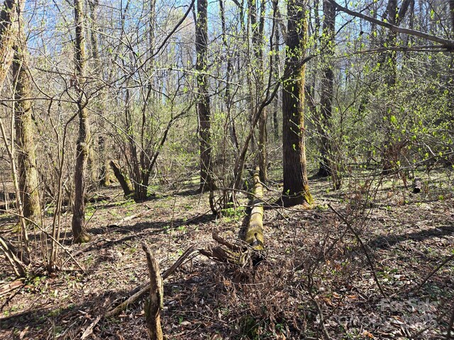 000 Brasstown Rd, Cullowhee, NC 28723 - photo 16