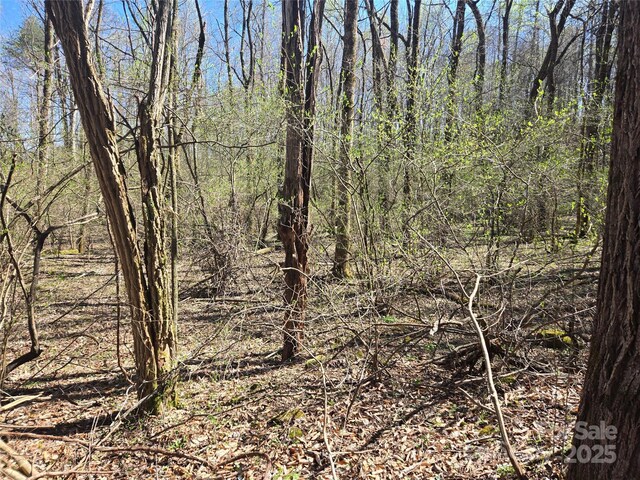 000 Brasstown Rd, Cullowhee, NC 28723 - photo 17