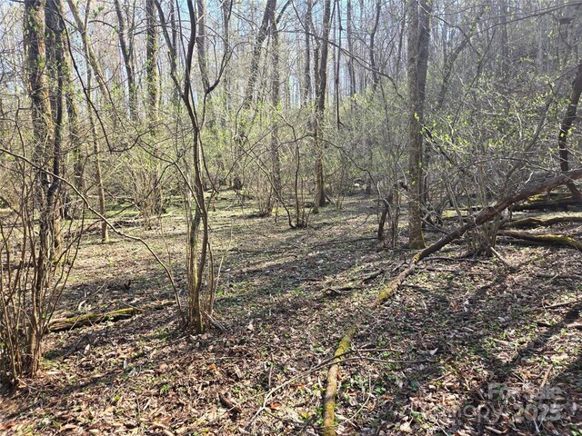 000 Brasstown Rd, Cullowhee, NC 28723 - photo 18
