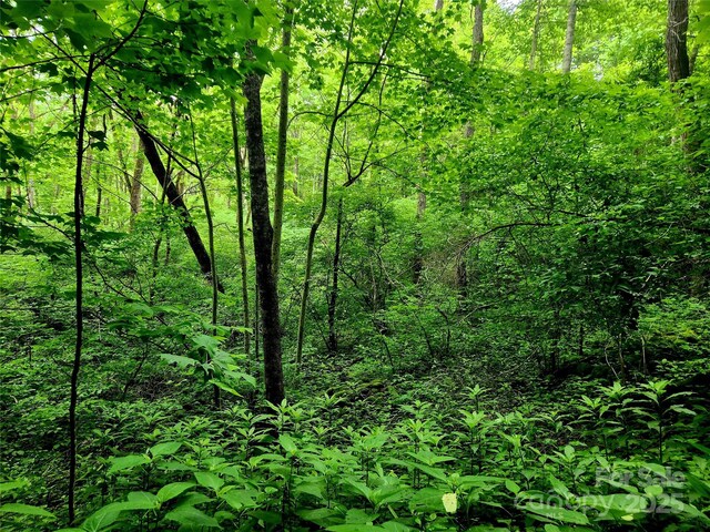 000 Brasstown Rd, Cullowhee, NC 28723 - photo 19