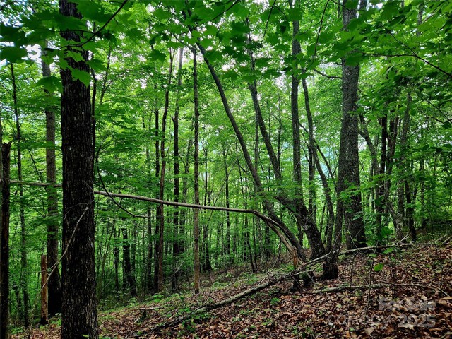 000 Brasstown Rd, Cullowhee, NC 28723 - photo 20