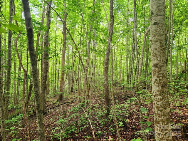 000 Brasstown Rd, Cullowhee, NC 28723 - photo 21