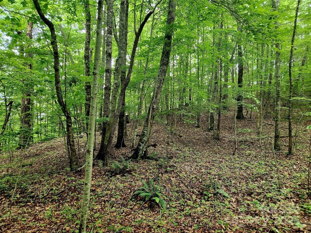 000 Brasstown Rd, Cullowhee, NC 28723 - photo 23