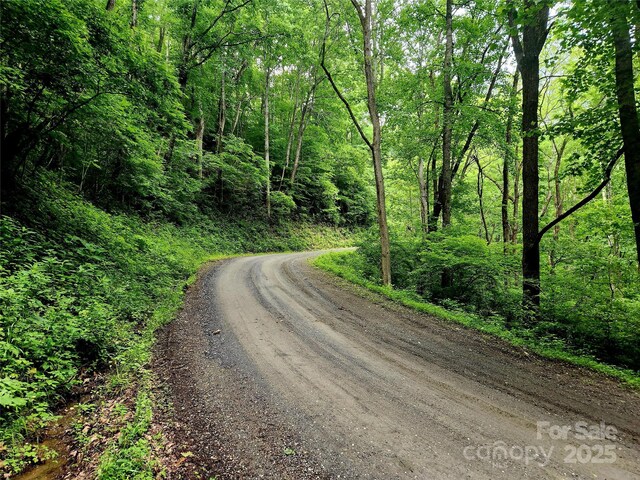 000 Brasstown Rd, Cullowhee, NC 28723 - photo 24