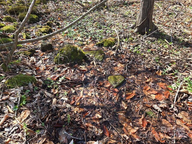 000 Brasstown Rd, Cullowhee, NC 28723 - photo 25