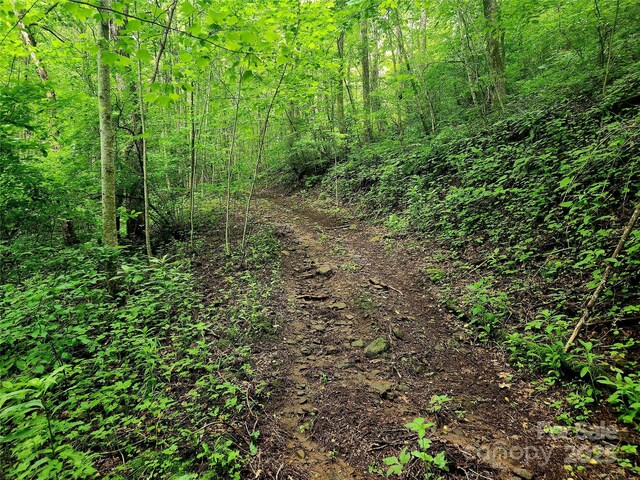 000 Brasstown Rd, Cullowhee, NC 28723 - photo 26