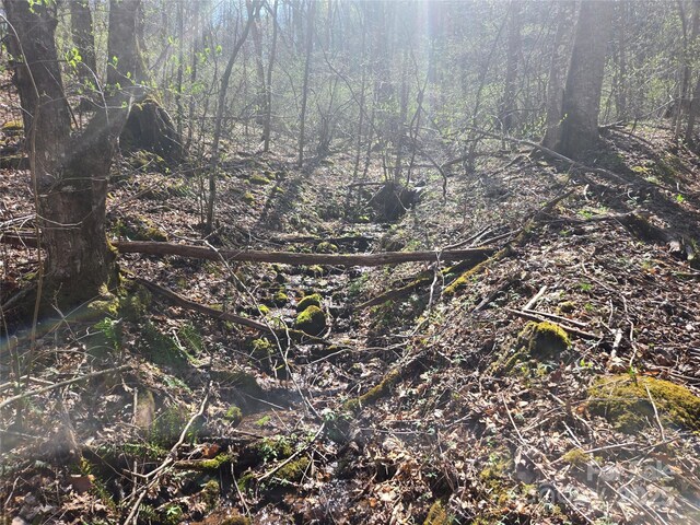 000 Brasstown Rd, Cullowhee, NC 28723 - photo 27