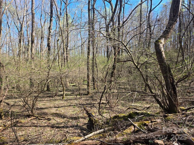 000 Brasstown Rd, Cullowhee, NC 28723 - photo 28
