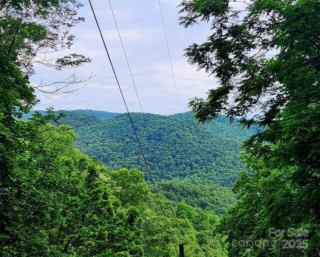 000 Brasstown Rd, Cullowhee, NC 28723 - photo 29
