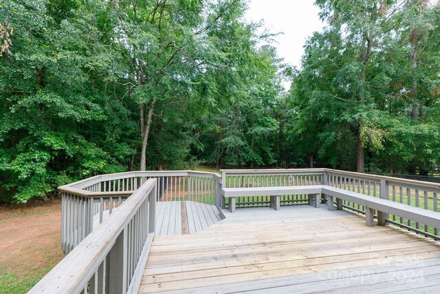 3617 Venetian Way, York, SC 29745 - photo 34