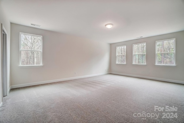 carpeted empty room with a wealth of natural light