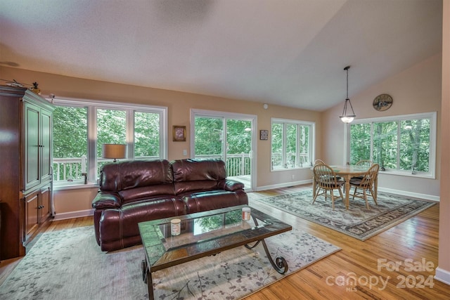 living room with light hardwood / wood-style flooring and vaulted ceiling