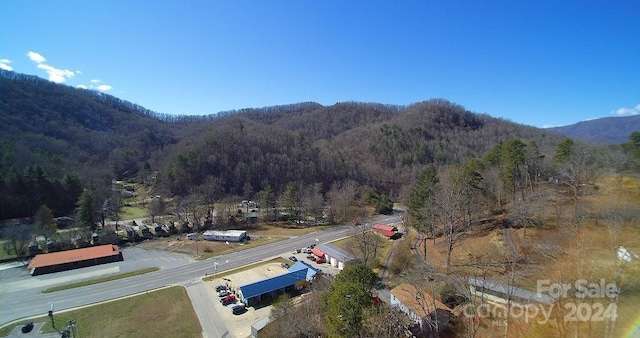 Listing photo 2 for TBD Tee Pee Dr, Whittier NC 28789