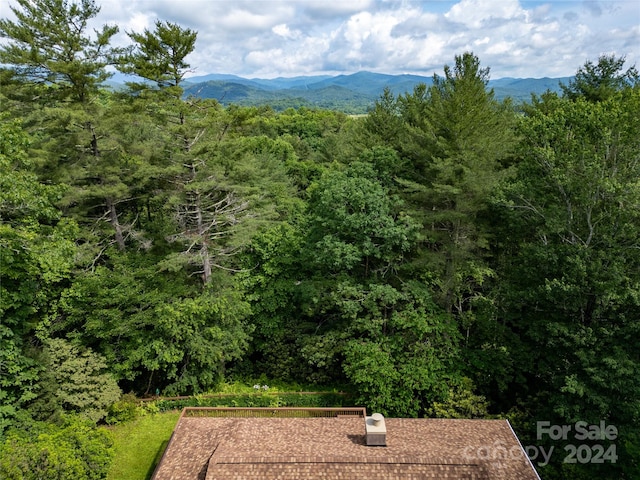 property view of mountains