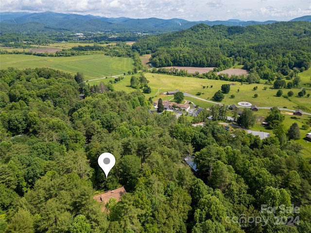 drone / aerial view featuring a mountain view