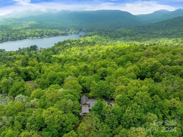 birds eye view of property featuring a water and mountain view