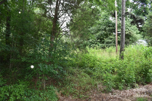 1690 Roseland Dr, Lincolnton, NC 28092 - photo 4