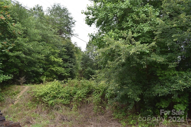 1690 Roseland Dr, Lincolnton, NC 28092 - photo 6