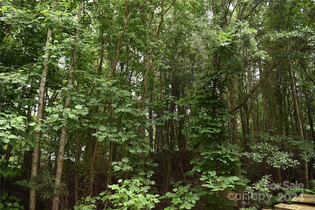 1690 Roseland Dr, Lincolnton, NC 28092 - photo 7