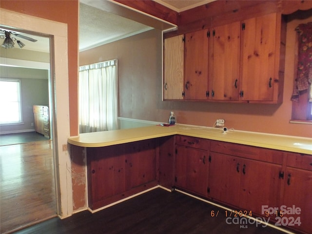 kitchen featuring ceiling fan and dark hardwood / wood-style flooring