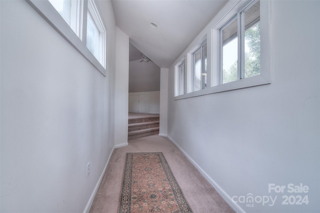 hallway with carpet and lofted ceiling