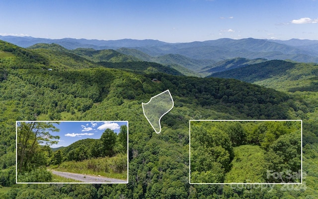 TRACT2 Turkey Trot Rd, Clyde NC, 28721 land for sale