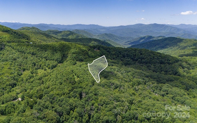 Listing photo 3 for TRACT2 Turkey Trot Rd, Clyde NC 28721