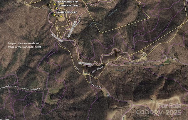 TRACT2 Turkey Trot Rd, Clyde, NC 28721