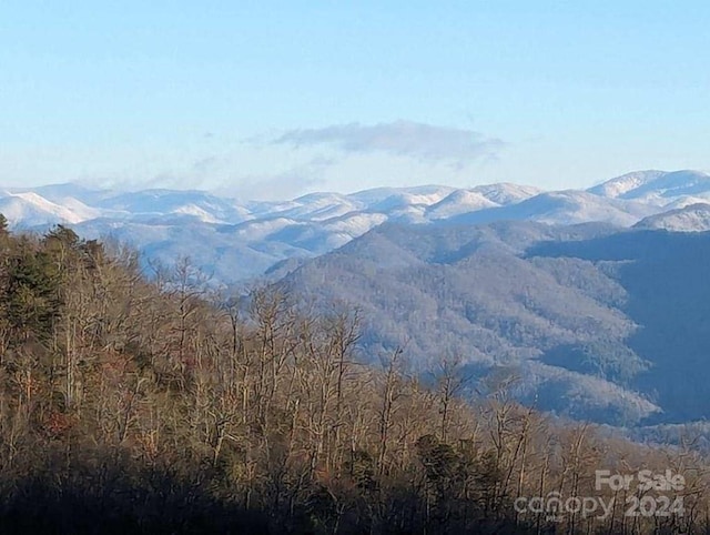 property view of mountains