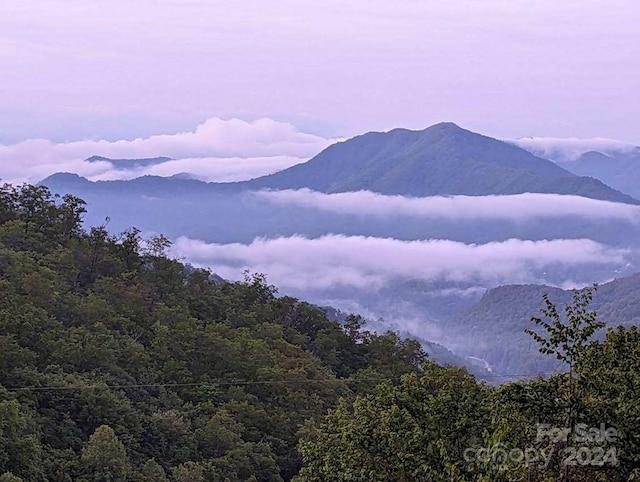 view of mountain feature