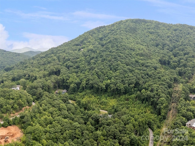 99 Settings Blvd # 3A-12, Black Mountain, NC 28711 - photo 2