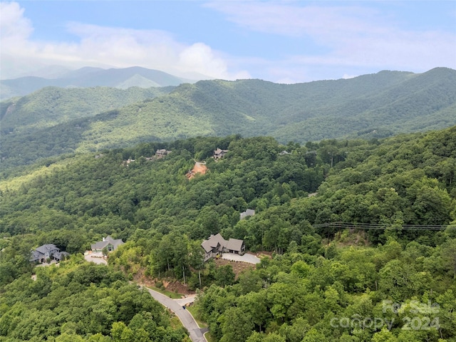 Listing photo 3 for 99 Settings Blvd # 3A-12, Black Mountain NC 28711