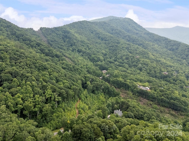 99 Settings Blvd # 3A-12, Black Mountain, NC 28711 - photo 4
