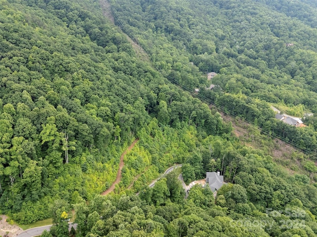 99 Settings Blvd # 3A-12, Black Mountain, NC 28711 - photo 5
