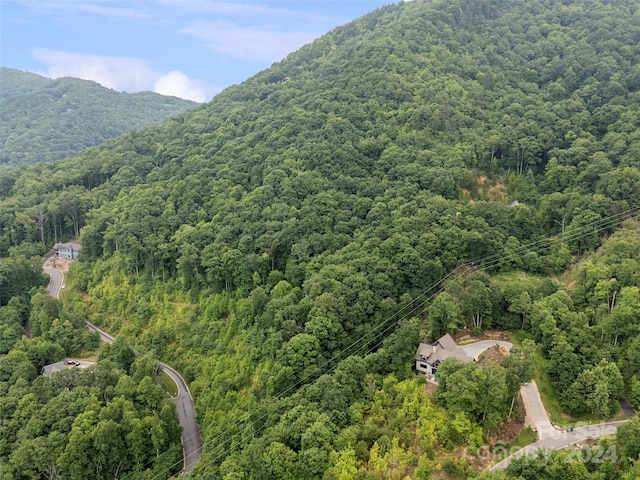 99 Settings Blvd # 3A-12, Black Mountain, NC 28711 - photo 6