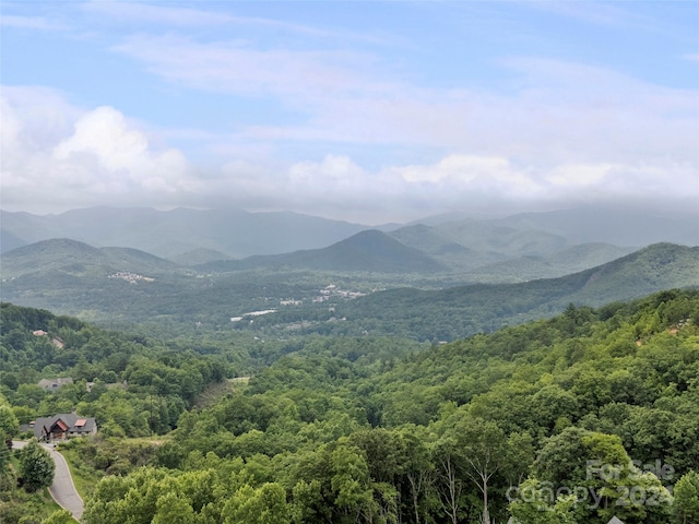 99 Settings Blvd # 3A-12, Black Mountain, NC 28711 - photo 7