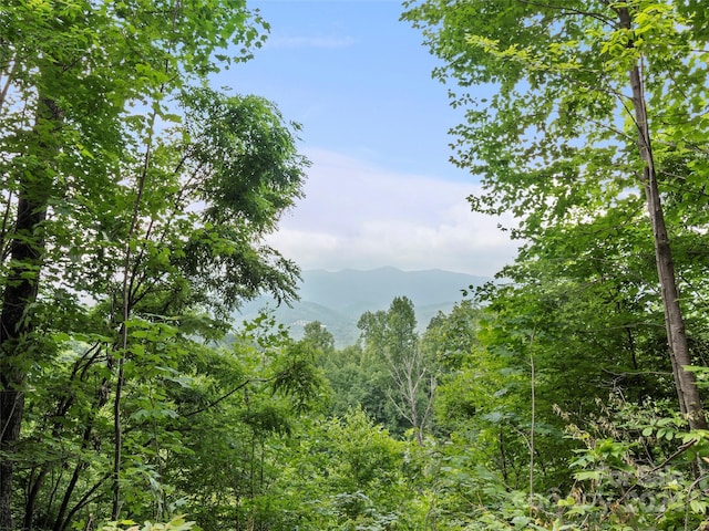 99 Settings Blvd # 3A-12, Black Mountain, NC 28711 - photo 8